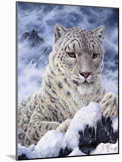 Cat-Jeff Tift-Mounted Giclee Print