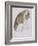 Cat-Gwen John-Framed Giclee Print