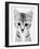 Cat-John Gusky-Framed Photographic Print