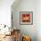 Cat-David Sheskin-Framed Giclee Print displayed on a wall