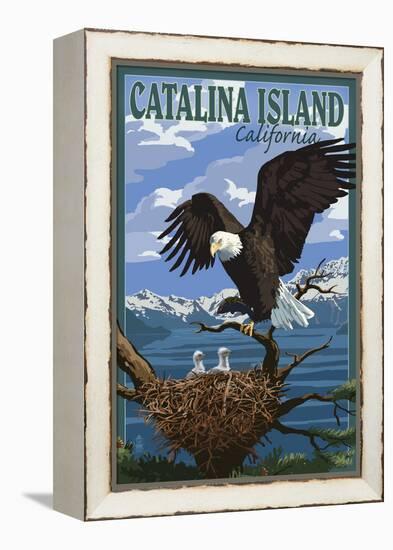 Catalina Island, California - Bald Eagle and Chicks-Lantern Press-Framed Stretched Canvas