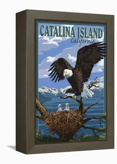 Catalina Island, California - Bald Eagle and Chicks-Lantern Press-Framed Stretched Canvas