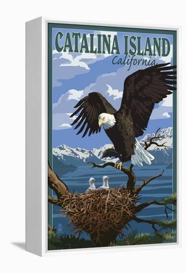 Catalina Island, California - Bald Eagle and Chicks-Lantern Press-Framed Stretched Canvas