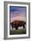 Catalina Island, California - Bison and Sunset-Lantern Press-Framed Art Print