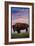 Catalina Island, California - Bison and Sunset-Lantern Press-Framed Art Print