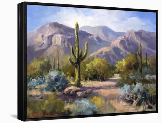 Catalina Mountain Foothills-Maxine Johnston-Framed Stretched Canvas