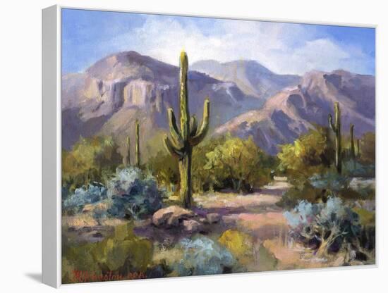 Catalina Mountain Foothills-Maxine Johnston-Framed Stretched Canvas