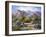 Catalina Mountain Foothills-Maxine Johnston-Framed Art Print