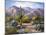 Catalina Mountain Foothills-Maxine Johnston-Mounted Art Print