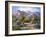 Catalina Mountain Foothills-Maxine Johnston-Framed Art Print