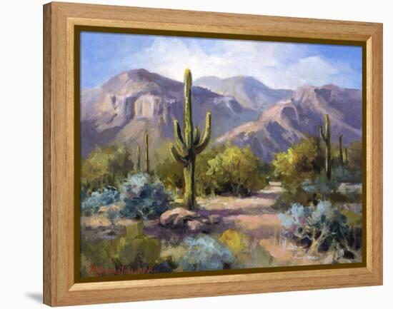 Catalina Mountain Foothills-Maxine Johnston-Framed Stretched Canvas