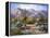 Catalina Mountain Foothills-Maxine Johnston-Framed Stretched Canvas