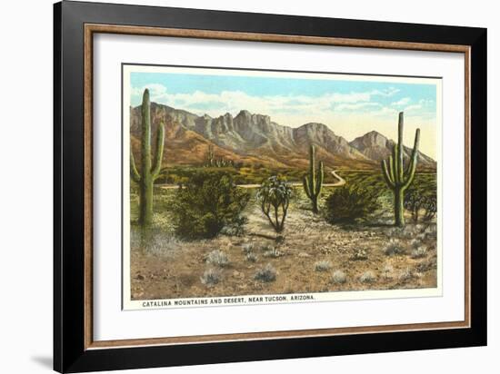 Catalina Mountains, Desert, Tucson, Arizona-null-Framed Art Print