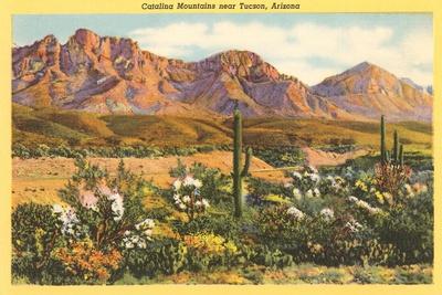 Film Photography Tucson Arizona Southwest Decor Catalina Mountains Photo Print