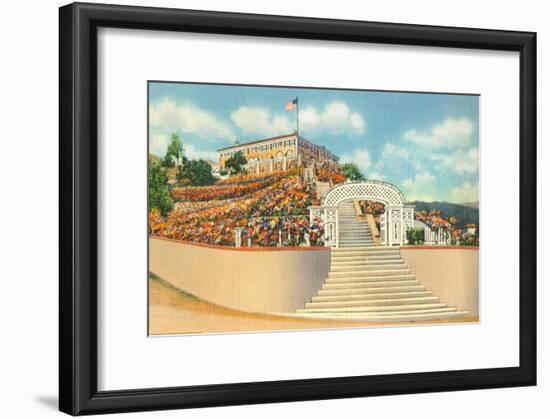 Catalina-null-Framed Art Print