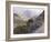 Catalina-Gunnar Widforss-Framed Art Print