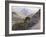 Catalina-Gunnar Widforss-Framed Art Print