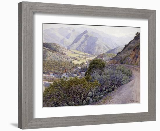 Catalina-Gunnar Widforss-Framed Art Print