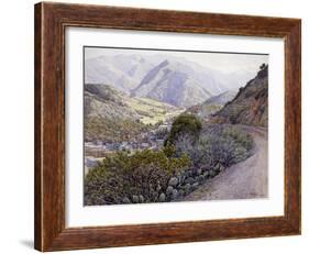 Catalina-Gunnar Widforss-Framed Art Print