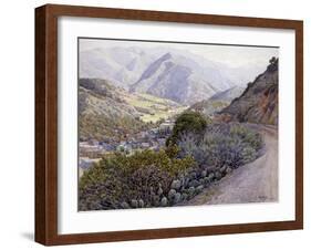 Catalina-Gunnar Widforss-Framed Art Print