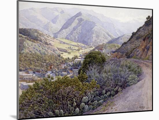 Catalina-Gunnar Widforss-Mounted Art Print