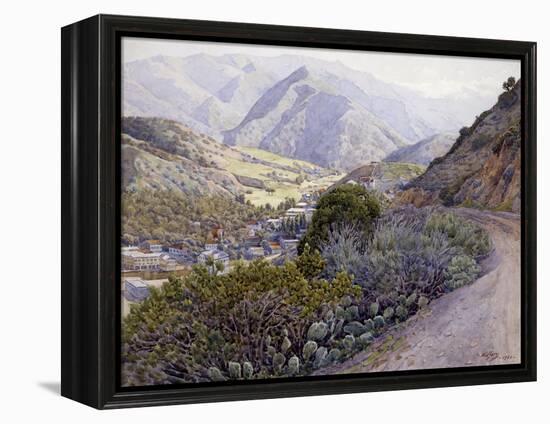 Catalina-Gunnar Widforss-Framed Stretched Canvas