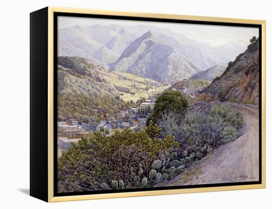 Catalina-Gunnar Widforss-Framed Stretched Canvas