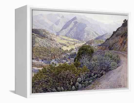 Catalina-Gunnar Widforss-Framed Stretched Canvas