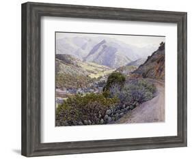 Catalina-Gunnar Widforss-Framed Art Print