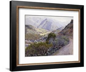Catalina-Gunnar Widforss-Framed Art Print