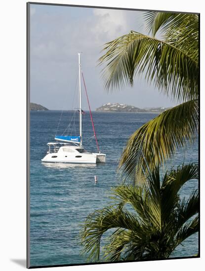 Catamaran, St John, United States Virgin Islands, USA, US Virgin Islands, Caribbean-Trish Drury-Mounted Photographic Print