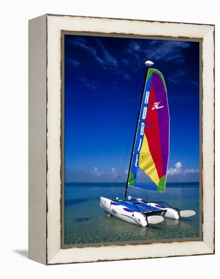 Catamarans, Florida Keys, Florida, USA-Terry Eggers-Framed Premier Image Canvas