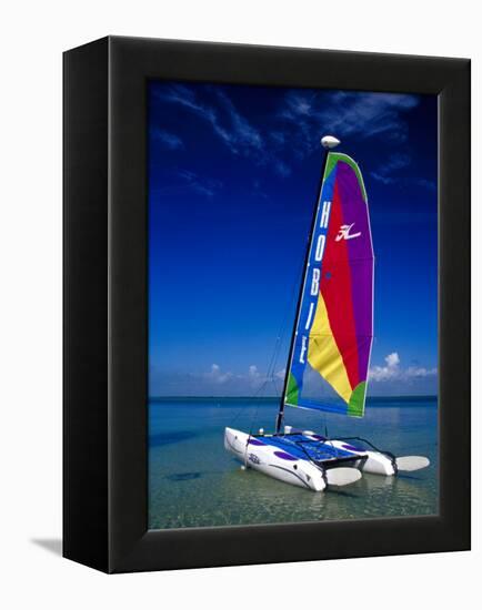 Catamarans, Florida Keys, Florida, USA-Terry Eggers-Framed Premier Image Canvas