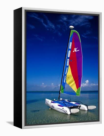 Catamarans, Florida Keys, Florida, USA-Terry Eggers-Framed Premier Image Canvas