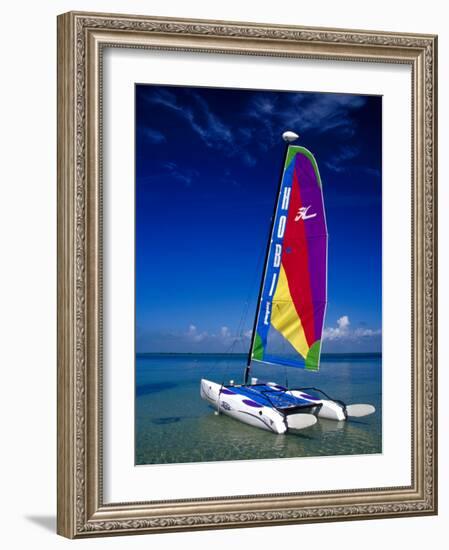 Catamarans, Florida Keys, Florida, USA-Terry Eggers-Framed Photographic Print