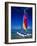 Catamarans, Florida Keys, Florida, USA-Terry Eggers-Framed Photographic Print