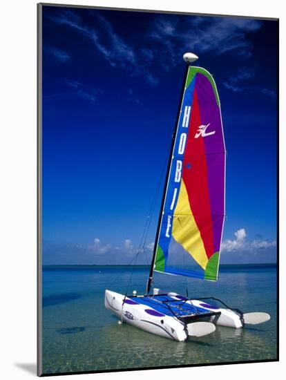 Catamarans, Florida Keys, Florida, USA-Terry Eggers-Mounted Photographic Print