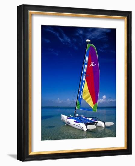 Catamarans, Florida Keys, Florida, USA-Terry Eggers-Framed Photographic Print