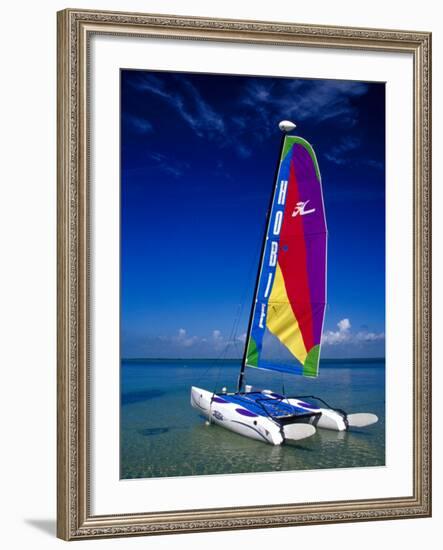 Catamarans, Florida Keys, Florida, USA-Terry Eggers-Framed Photographic Print