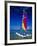 Catamarans, Florida Keys, Florida, USA-Terry Eggers-Framed Photographic Print