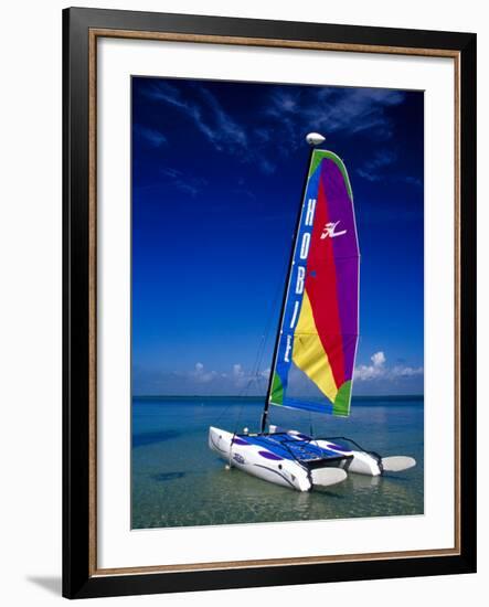Catamarans, Florida Keys, Florida, USA-Terry Eggers-Framed Photographic Print