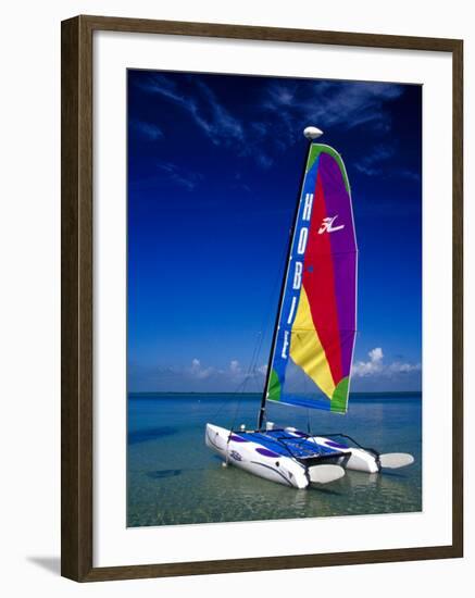 Catamarans, Florida Keys, Florida, USA-Terry Eggers-Framed Photographic Print