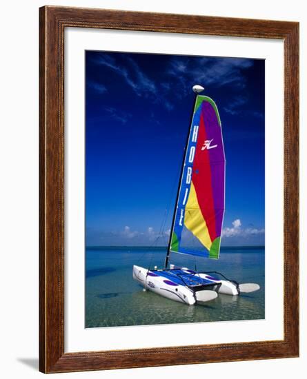 Catamarans, Florida Keys, Florida, USA-Terry Eggers-Framed Photographic Print