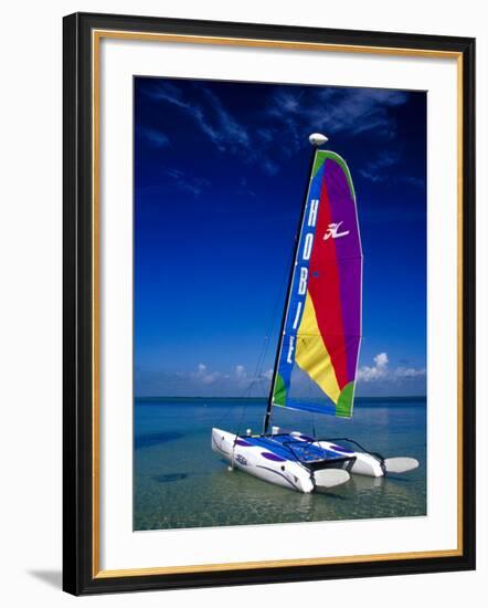 Catamarans, Florida Keys, Florida, USA-Terry Eggers-Framed Photographic Print