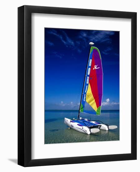 Catamarans, Florida Keys, Florida, USA-Terry Eggers-Framed Photographic Print