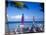 Catamarans, Florida Keys, Florida, USA-Terry Eggers-Mounted Photographic Print