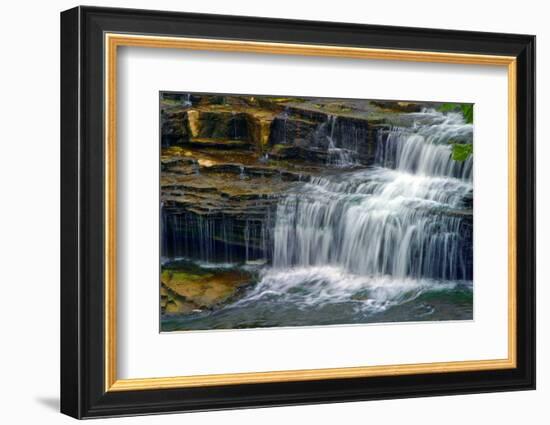 Cataract Falls State Park , Indiana, USA-Anna Miller-Framed Photographic Print