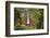 Catarata Del Toro Waterfall, in the mountains of Bajos del Toro Amarillo, Sarchi, Costa Rica-Adam Jones-Framed Photographic Print