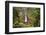 Catarata Del Toro Waterfall, in the mountains of Bajos del Toro Amarillo, Sarchi, Costa Rica-Adam Jones-Framed Photographic Print