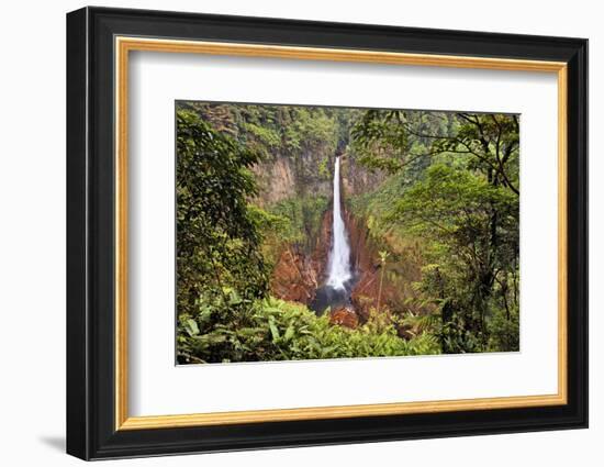 Catarata Del Toro Waterfall, in the mountains of Bajos del Toro Amarillo, Sarchi, Costa Rica-Adam Jones-Framed Photographic Print